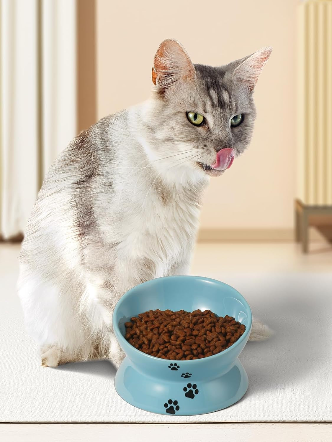 Elevated Ceramic Cat Bowl – Tilted Anti-Vomiting Raised Dish in Lake Blue