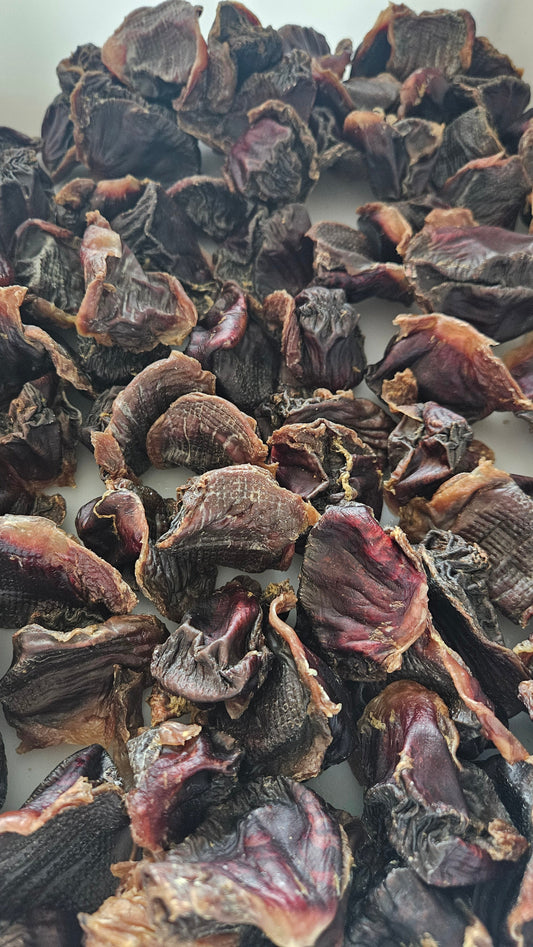 Raw Instincts Dehydrated Turkey Gizzards for Cats & Dogs – 3 oz
