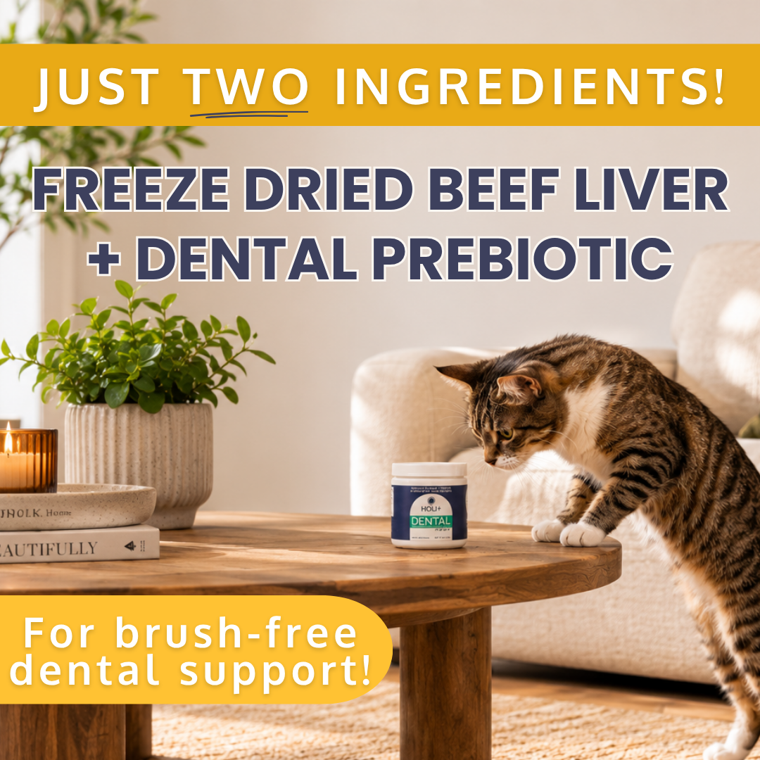 Holi Dental Health Topper for Dogs with Protektin44™ Prebiotics