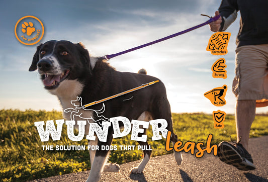 WUNDERleash No-Pull Dog Leash – Shock-Absorbing Walking Leash