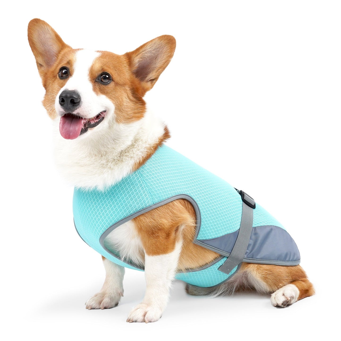 Dog Cooling Vest – Adjustable Summer Harness for Hot Weather