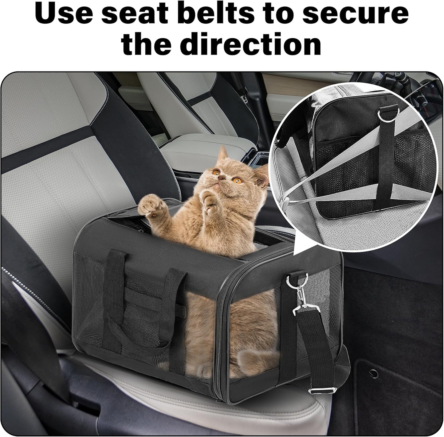 Soft-Sided Pet Travel Carrier – Airline-Approved Portable Carrier for Cats and Small Dogs, Medium
