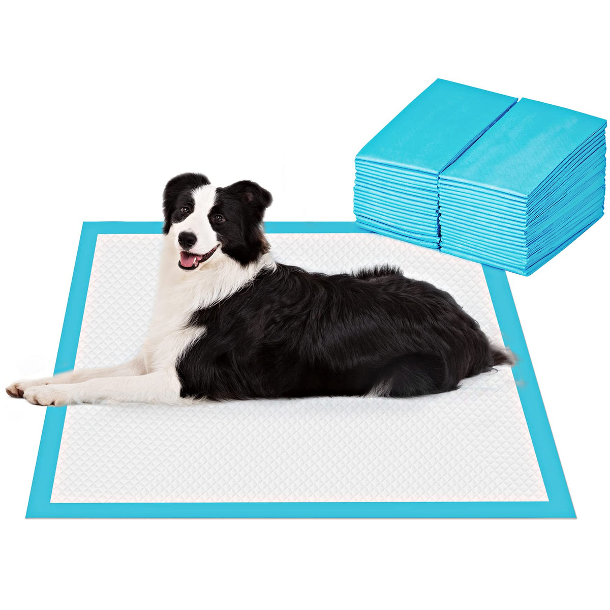 2XL Dog Pee Pads – 28” x 44” Extra Large Leak-Proof Training Pads, 50 Count