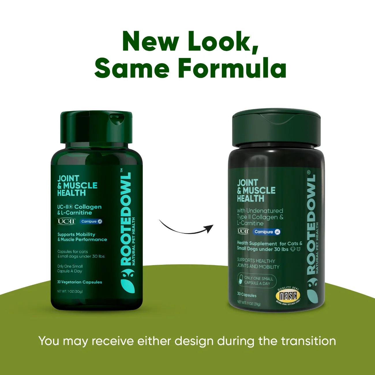Rooted Owl Joint & Muscle Health Capsules for Cats & Small Dogs