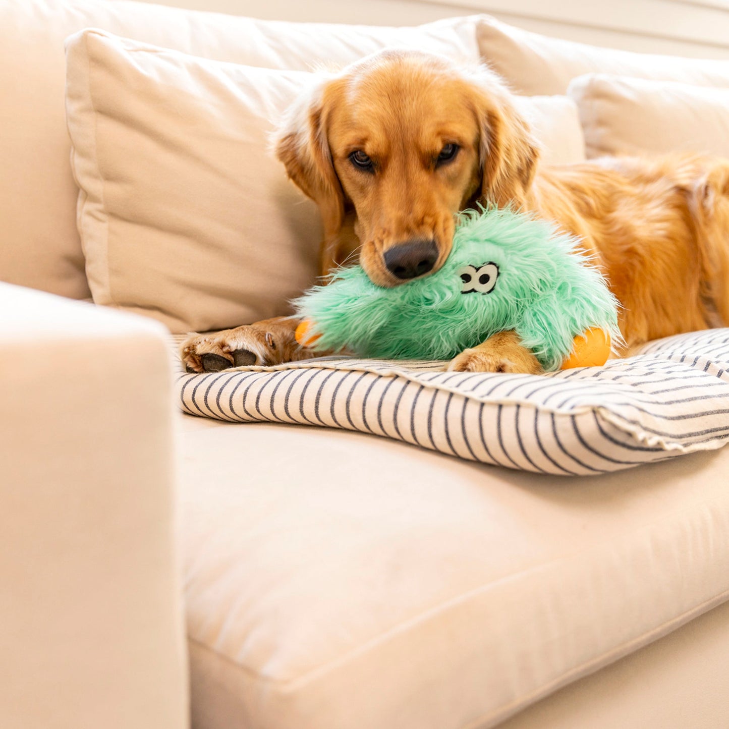 West Paw Bjorn Rowdies Dog Toy – Durable Plush Toy