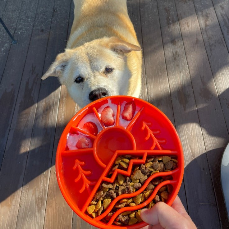 SodaPup Great Outdoors eBowl – Slow Feeder & Enrichment Dog Bowl