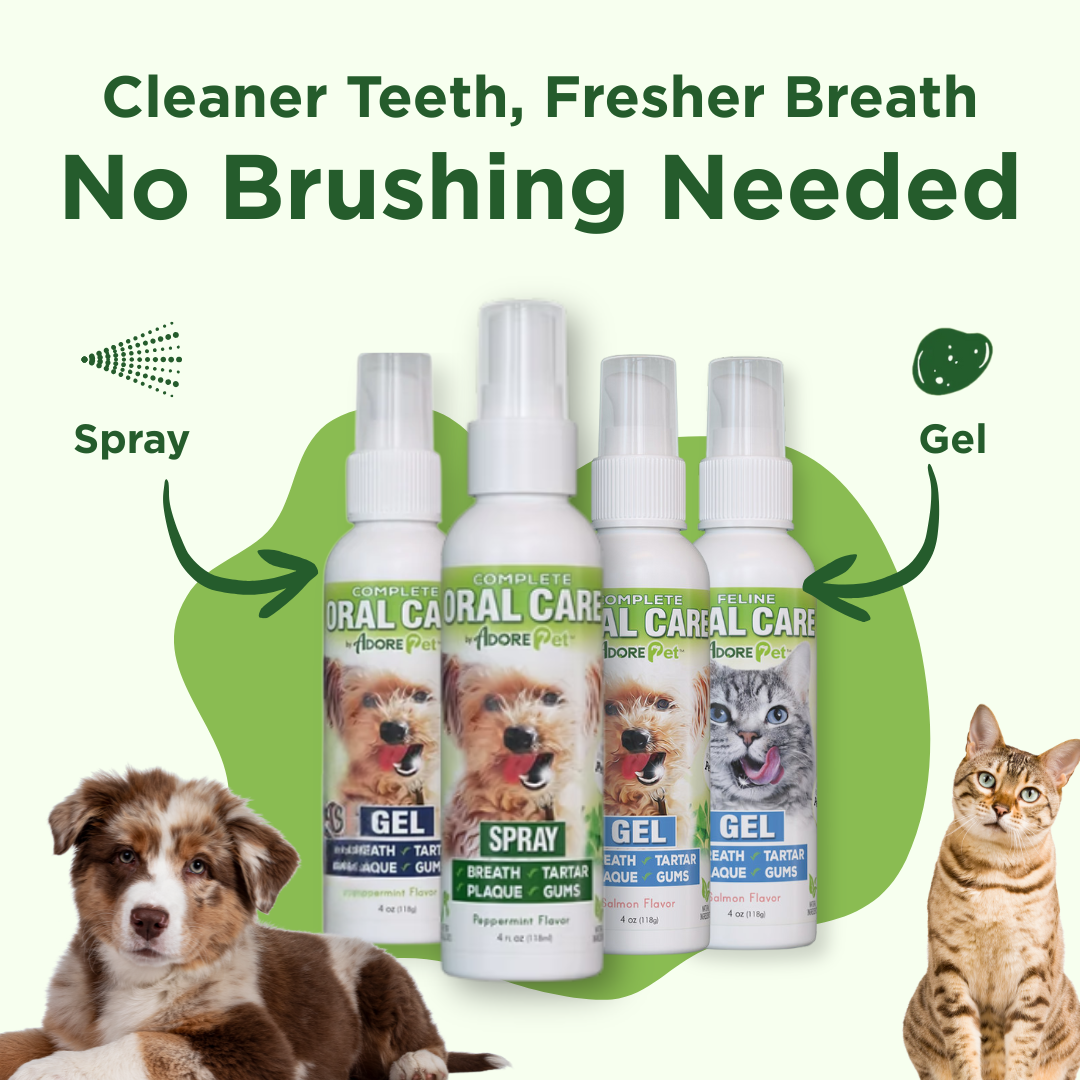 Pet Oral Care Spray