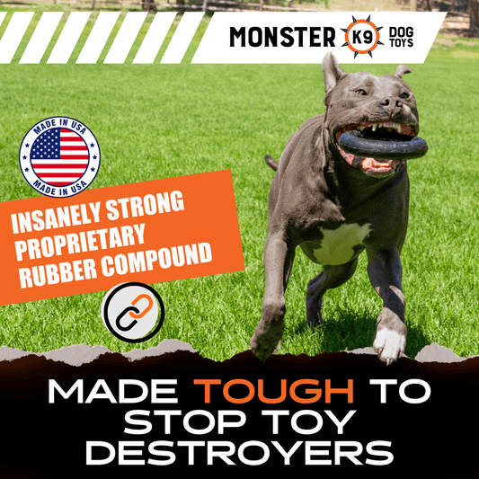 Chew Ring Dog Toy – Tough Rubber Ring for Aggressive Chewers
