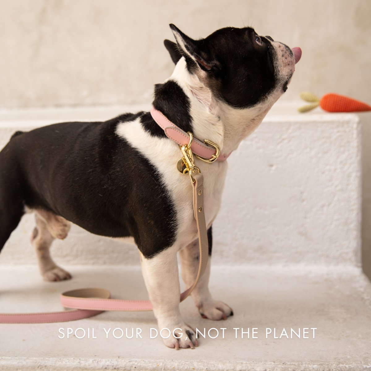 Nina Woof Cupertino Dog Leash – Vegan Leather, 4ft