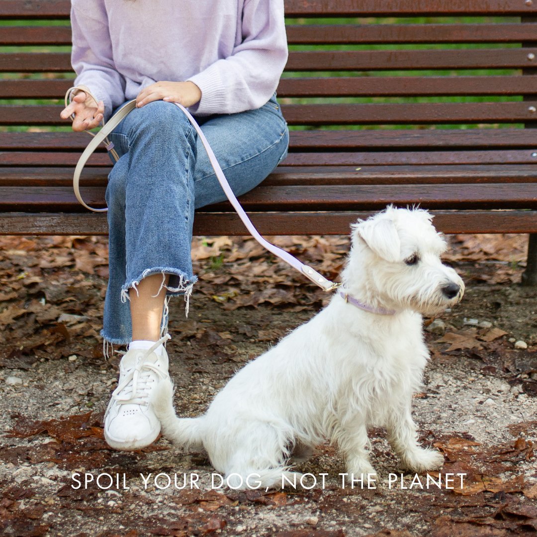 Nina Woof London Dog Collar – Vegan Leather