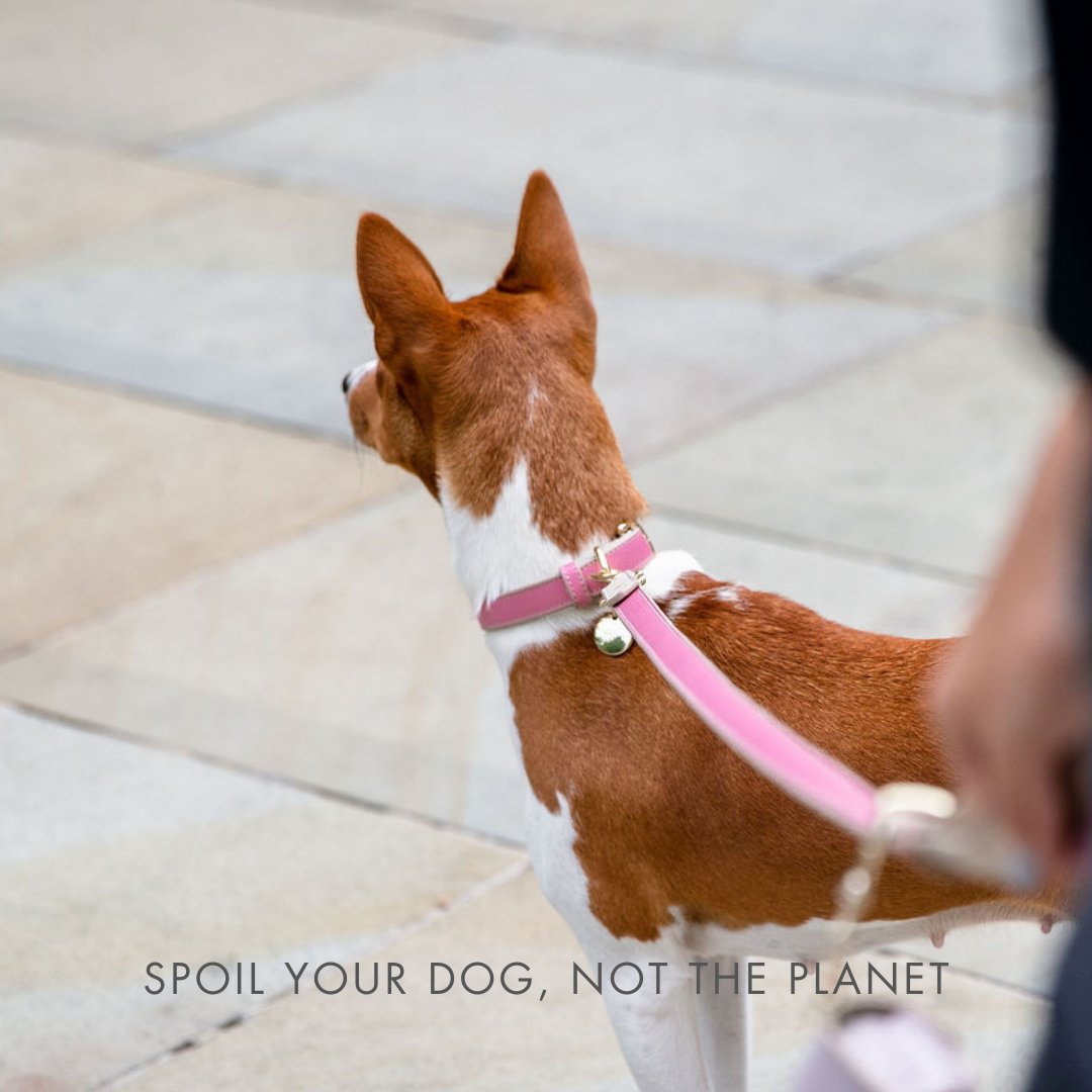 Nina Woof Rio Dog Leash – Vegan Leather, 4ft