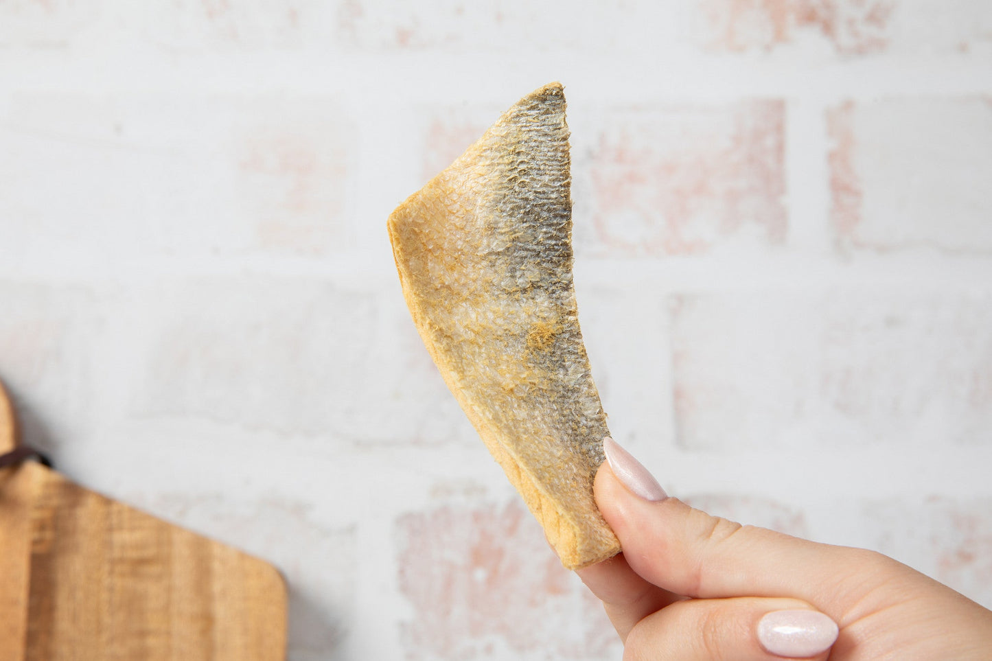 Holi Dental Health Bundle – Dental Topper + Salmon Skin Chews