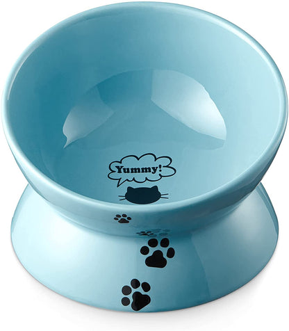 Elevated Ceramic Cat Bowl – Tilted Anti-Vomiting Raised Dish in Lake Blue