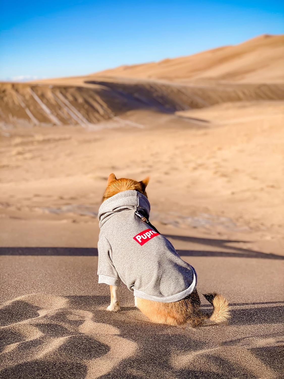 Pup Dog Hoodie – Gray Medium Cotton Fleece-Lined Pet Sweatshirt for Dogs and Cats