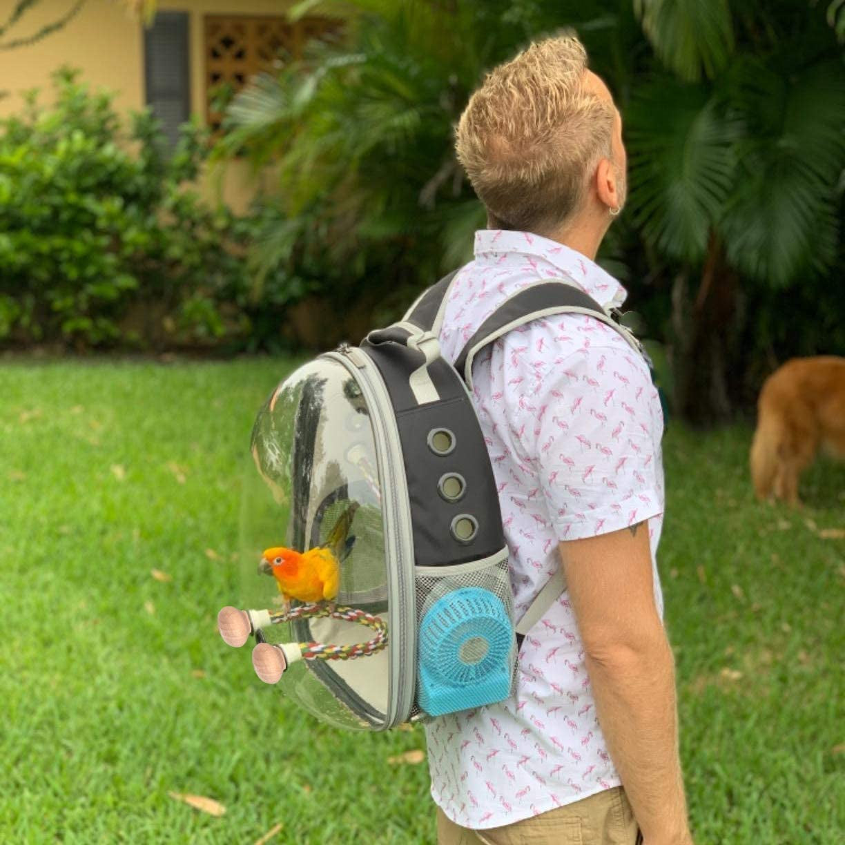 Bird Travel Carrier Backpack – Clear Space Capsule Bird Cage for Parakeets, Cockatiels & Small Parrots