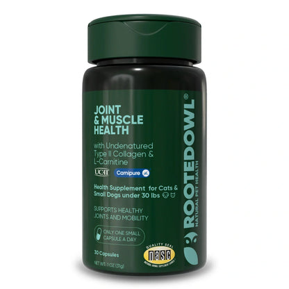 Rooted Owl Joint & Muscle Health Capsules for Cats & Small Dogs