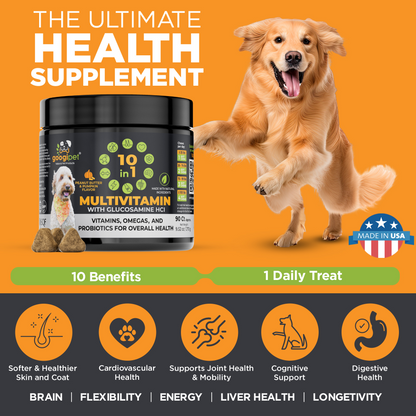 Googipet 10-in-1 Multivitamin Chews for Dogs – Peanut Butter & Pumpkin