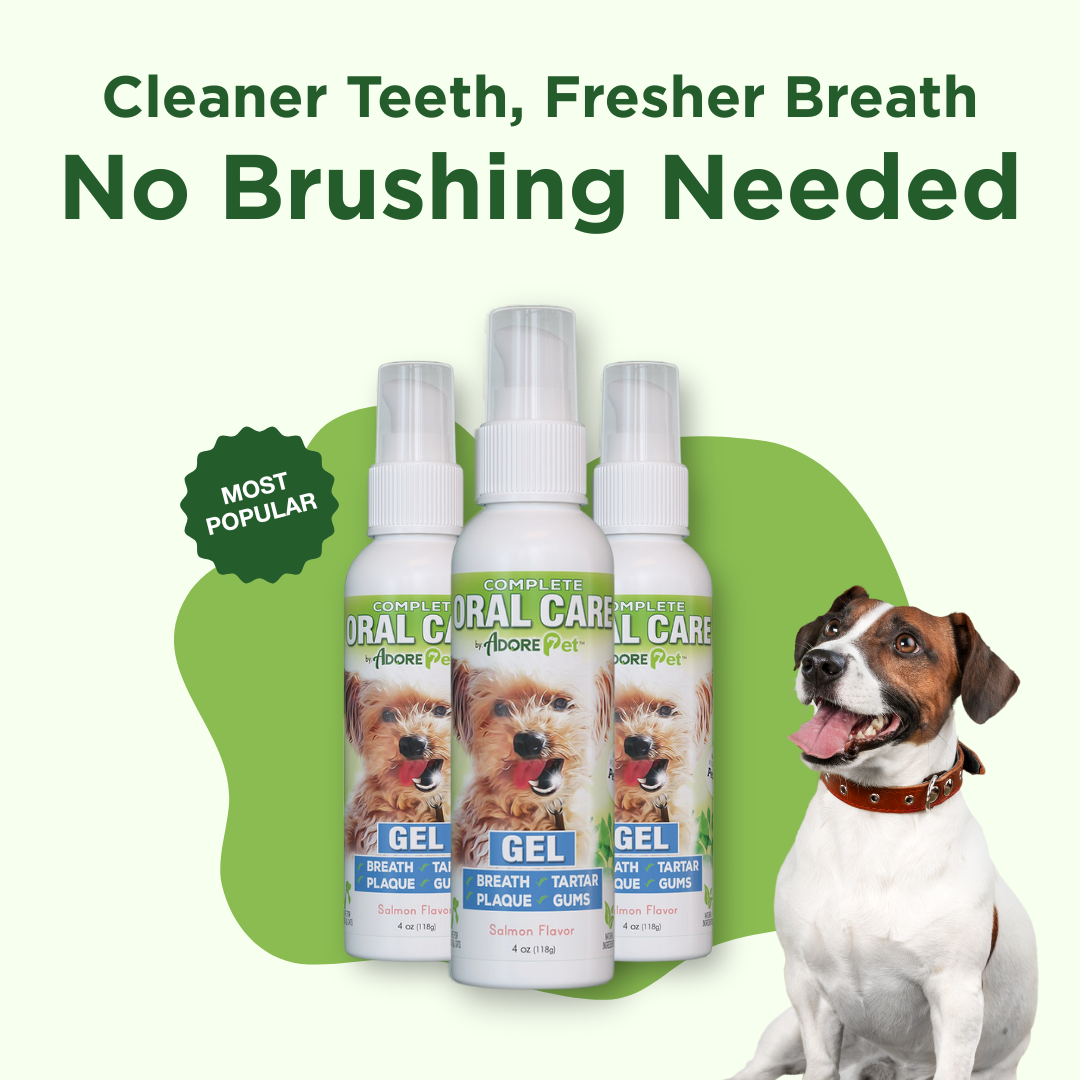 Pet Oral Care Gel - Salmon
