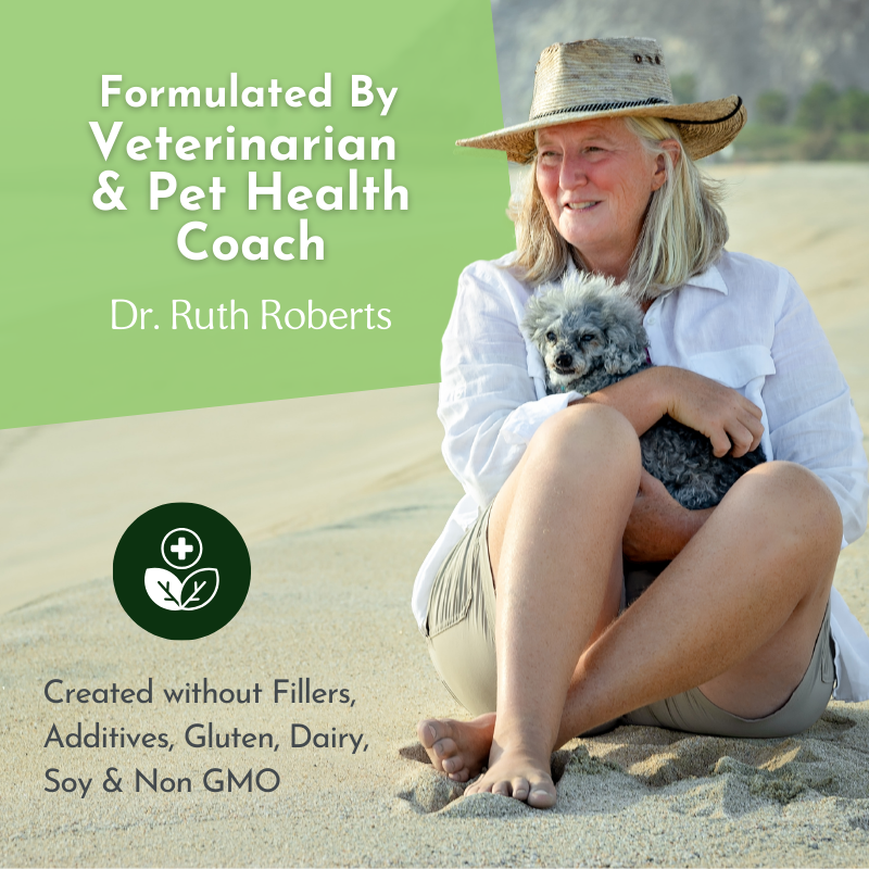 Holistic Total Body Support Multivitamin for Dogs & Cats