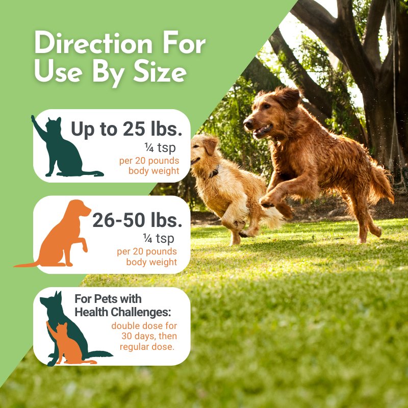 Holistic Total Body Support Multivitamin for Dogs & Cats