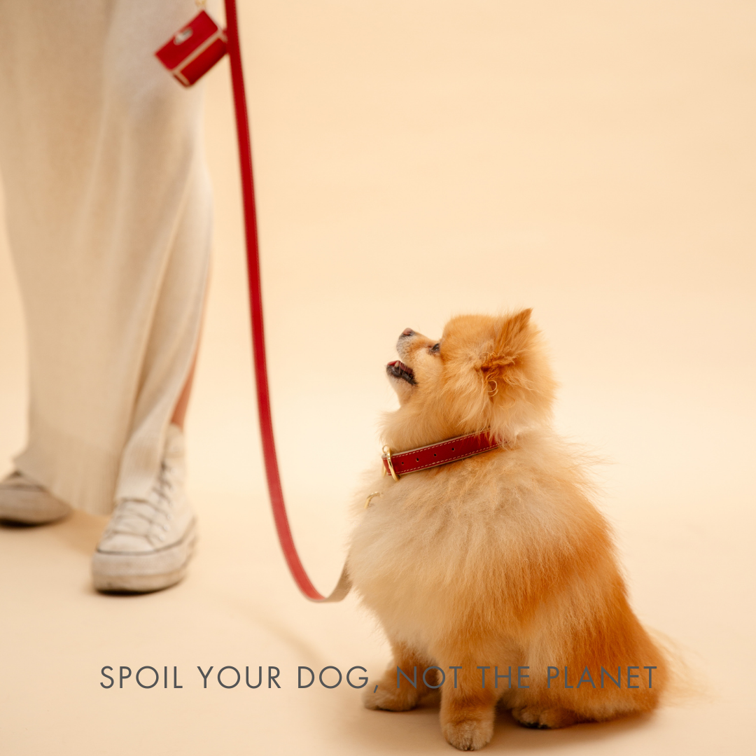Nina Woof Copenhagen Dog Leash – Vegan Leather, 4ft
