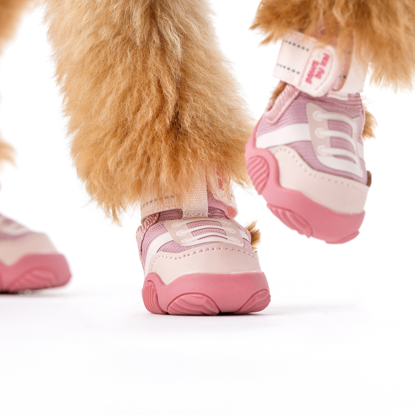The Kai Dog Sneakers – Stylish All-Season Dog Shoes