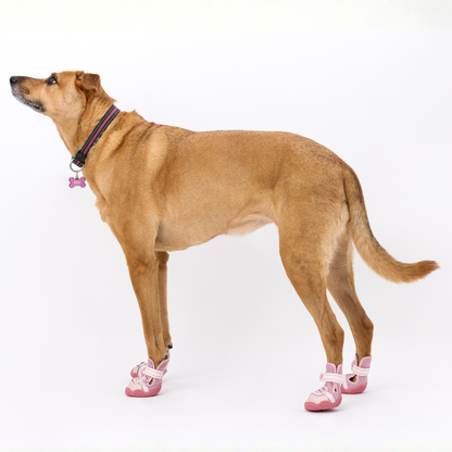 The Kai Dog Sneakers – Stylish All-Season Dog Shoes