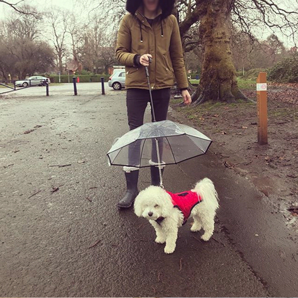 Transparent Dog Umbrella Leash – Rain Shield for Small Pets