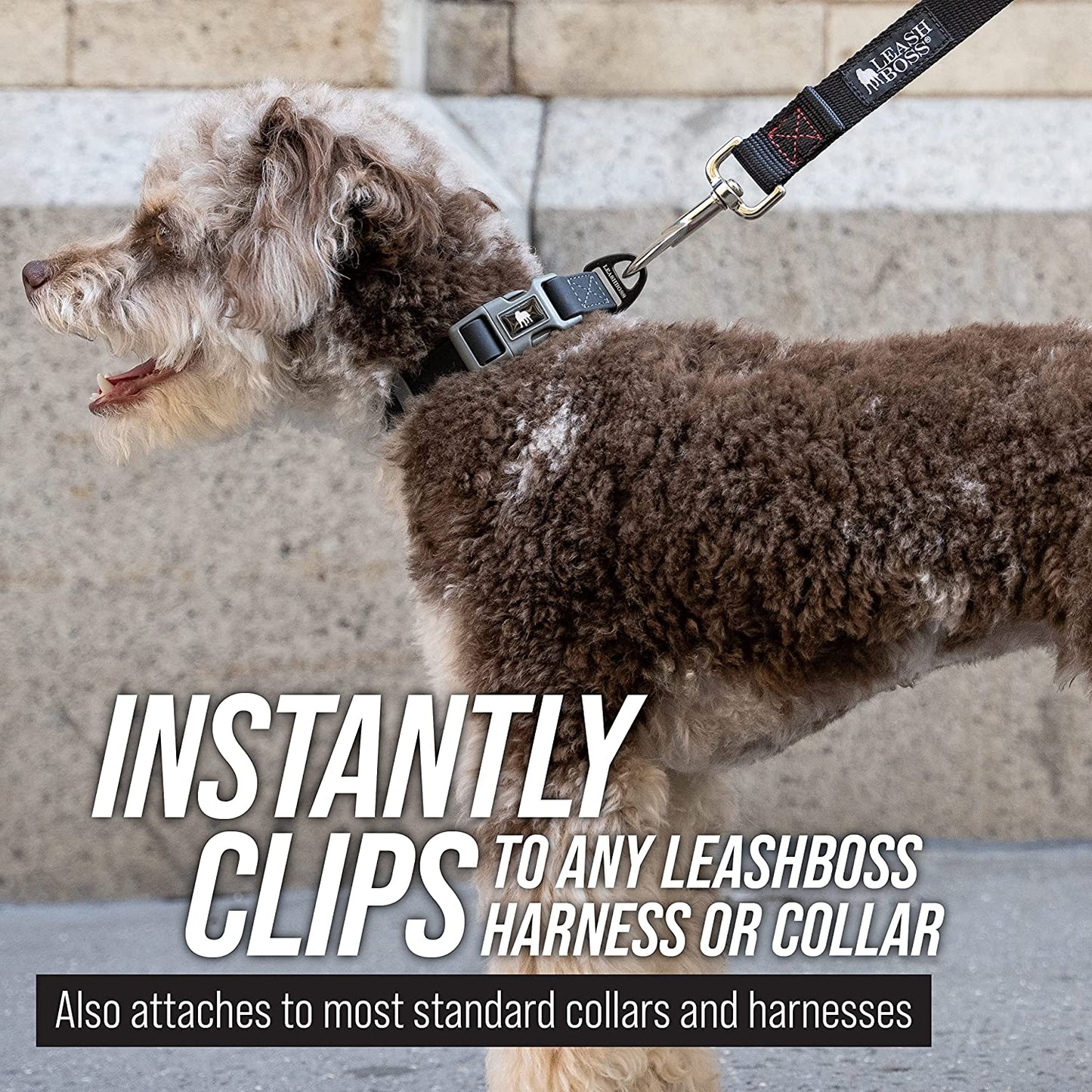 Leash Boss Long Dog Training Leash – 50 Ft Orange Nylon Recall Lead with Storage Strap