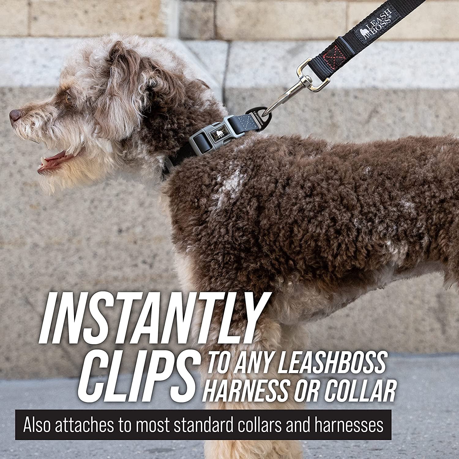 Leash Boss Long Dog Training Leash – 50 Ft Orange Nylon Recall Lead with Storage Strap