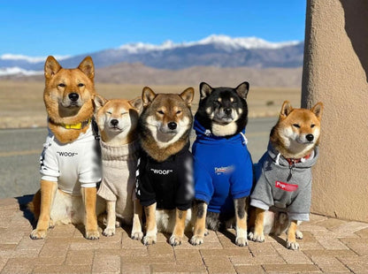 Blue Dog Sweatshirt – XL Streetwear Pet Hoodie with Leash Hole for Dogs and Cats