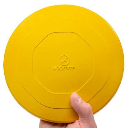 Launch Disc Dog Toy – Heavy-Duty Rubber Fetch Toy