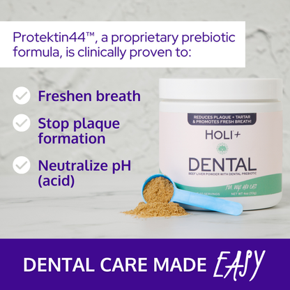 Holi Dental Health Bundle – Dental Topper + Salmon Skin Chews