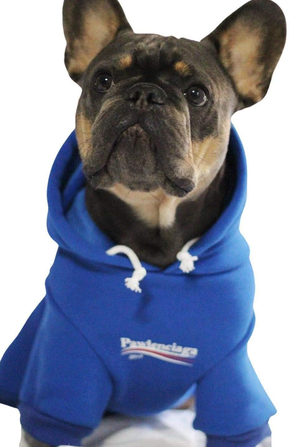 Blue Dog Sweatshirt – XL Streetwear Pet Hoodie with Leash Hole for Dogs and Cats