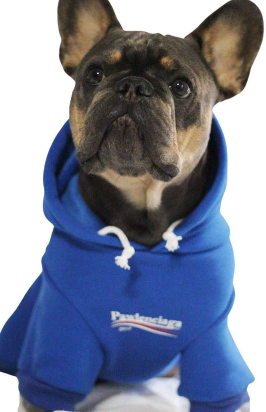 Blue Dog Sweatshirt – XL Streetwear Pet Hoodie with Leash Hole for Dogs and Cats
