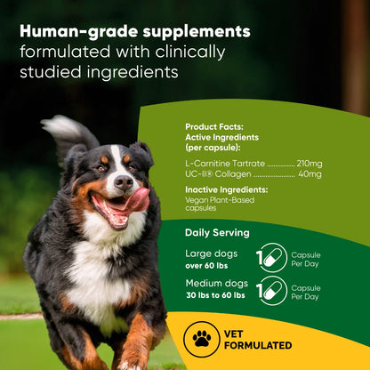 Rooted Owl Joint & Muscle Health Capsules for Medium & Large Dogs