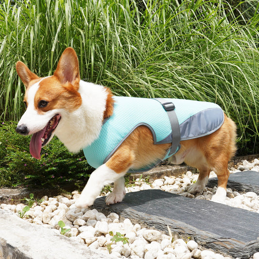 Dog Cooling Vest – Adjustable Summer Harness for Hot Weather