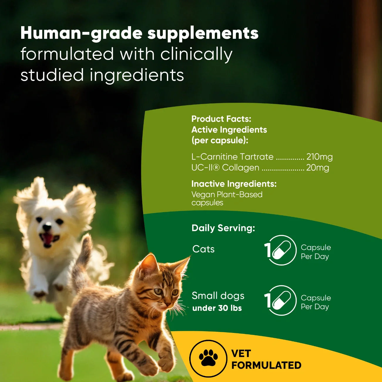 Rooted Owl Joint & Muscle Health Capsules for Cats & Small Dogs