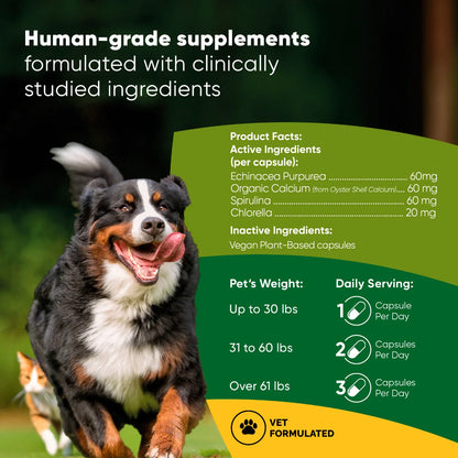 Rooted Owl Spirulina & Chlorella Capsules for Dogs & Cats