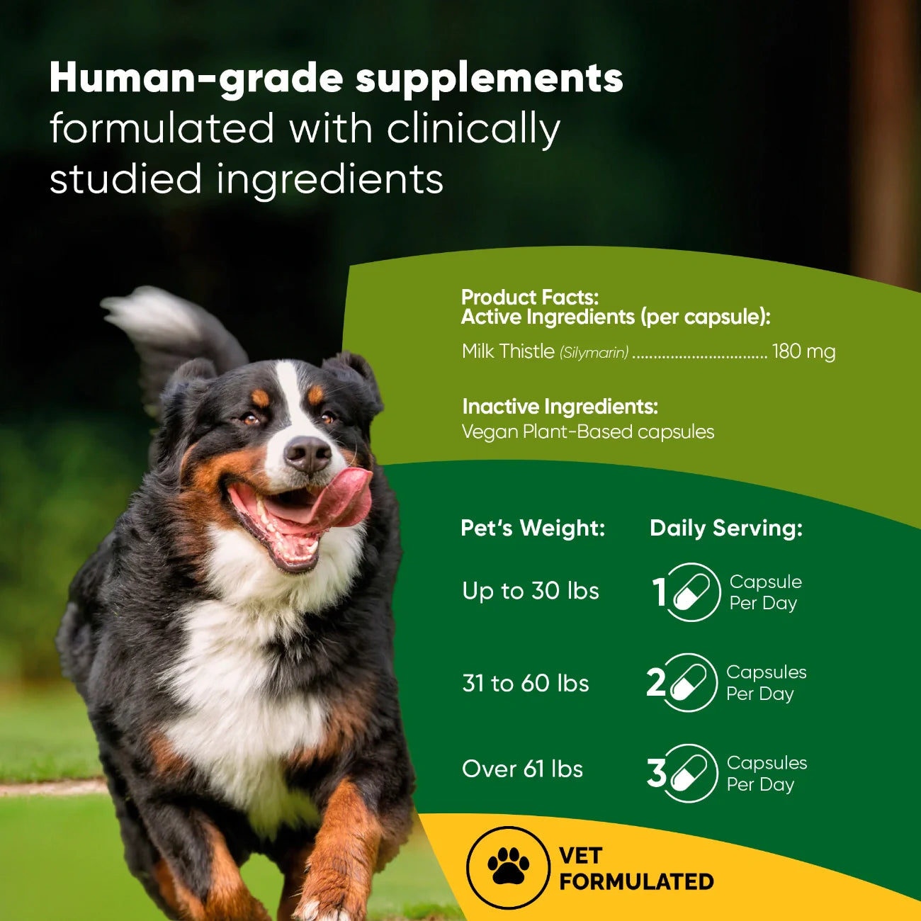 Rooted Owl Liver Support Capsules for Dogs