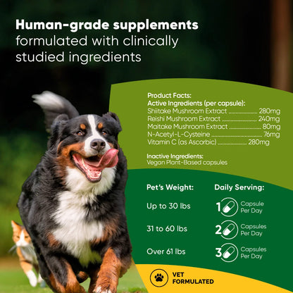 Rooted Owl Mushroom Immune Support Capsules for Dogs & Cats