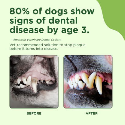 Pet Oral Care Spray