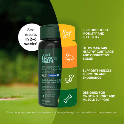 Rooted Owl Joint & Muscle Health Capsules for Cats & Small Dogs