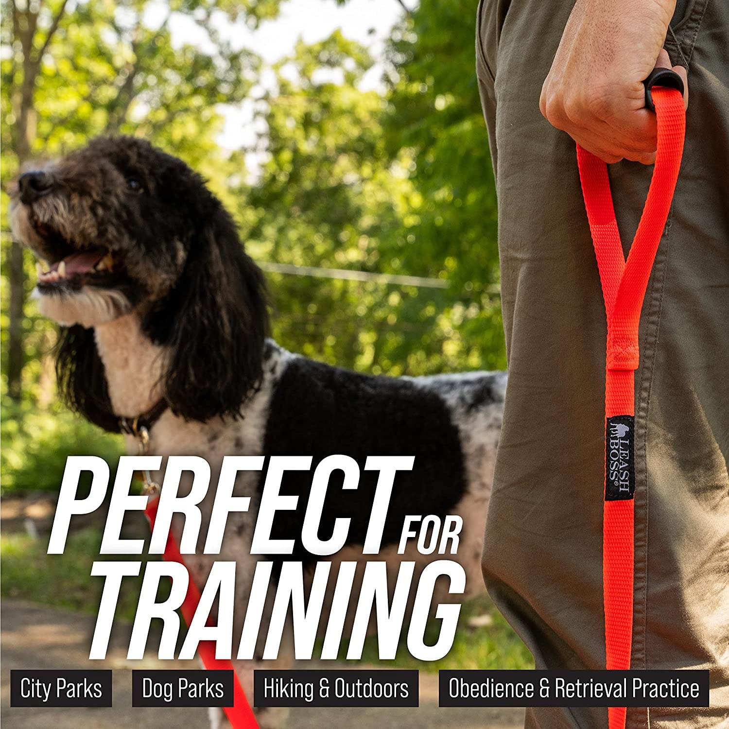 Leash Boss Long Dog Training Leash – 50 Ft Orange Nylon Recall Lead with Storage Strap