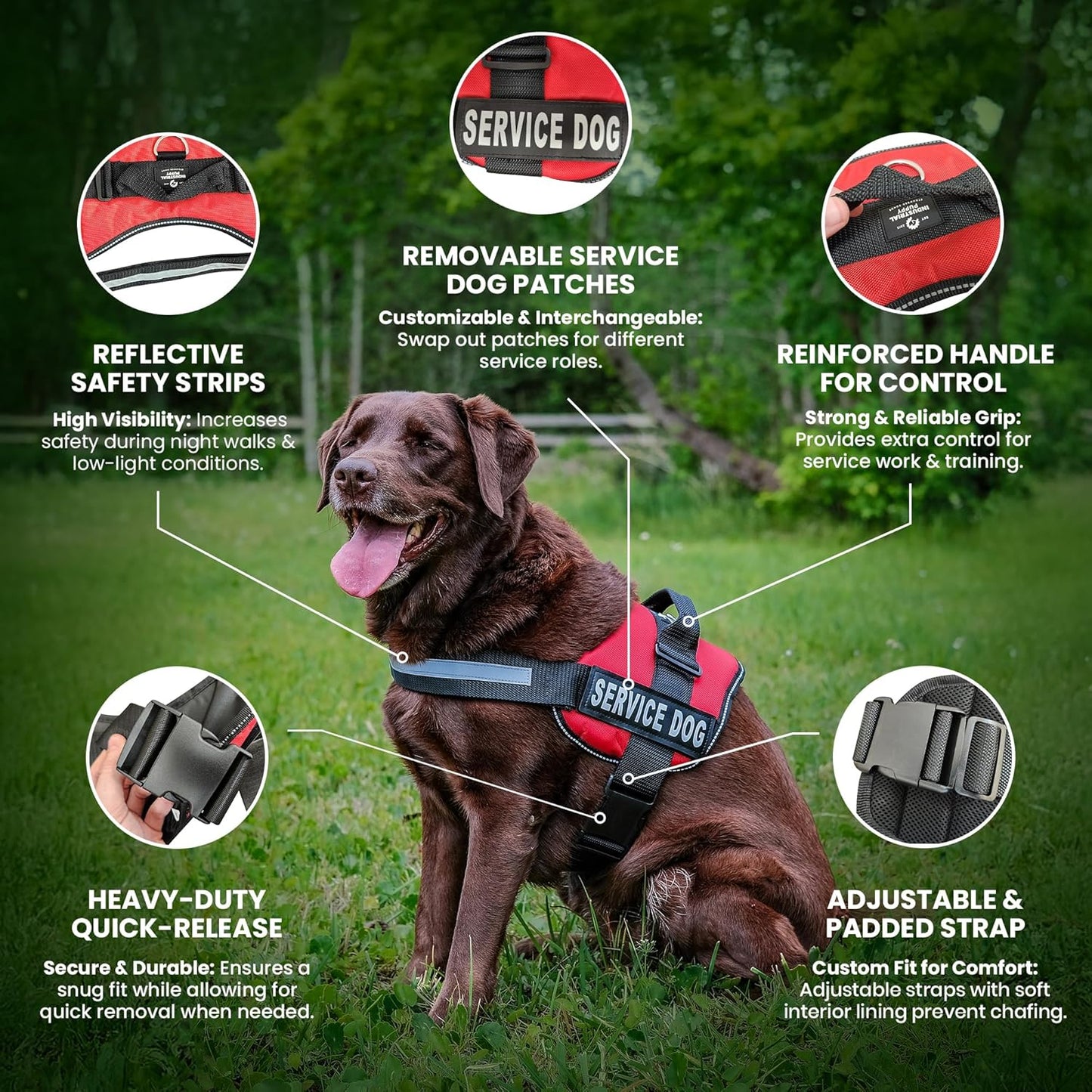 Service Dog Vest and Leash Set – Pink XXS Reflective Mesh Harness with Removable Patches