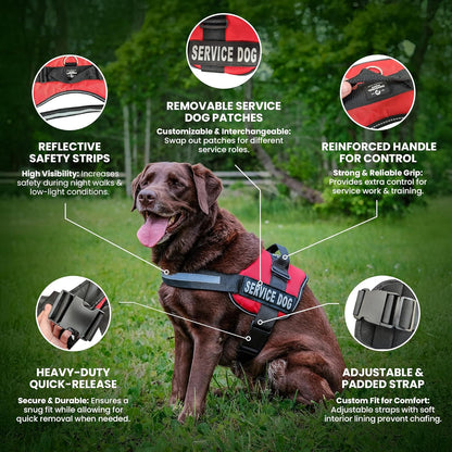 Service Dog Vest and Leash Set – Pink XXS Reflective Mesh Harness with Removable Patches