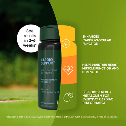Rooted Owl Cardio Support Capsules for Dogs