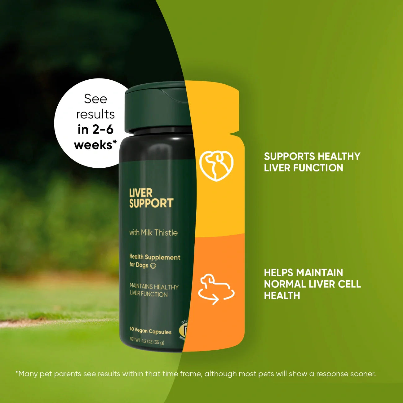Rooted Owl Liver Support Capsules for Dogs