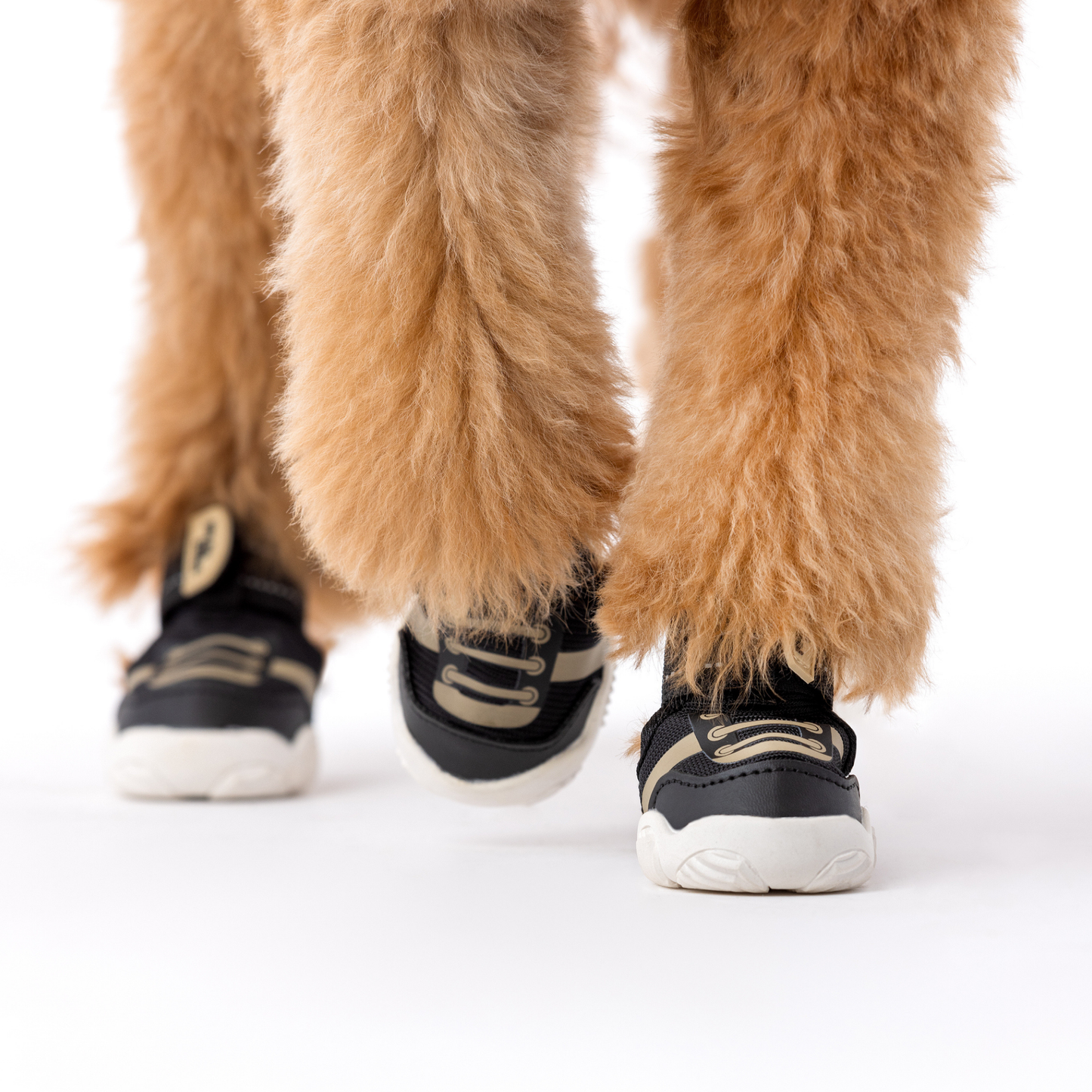 The Kai Dog Sneakers – Stylish All-Season Dog Shoes