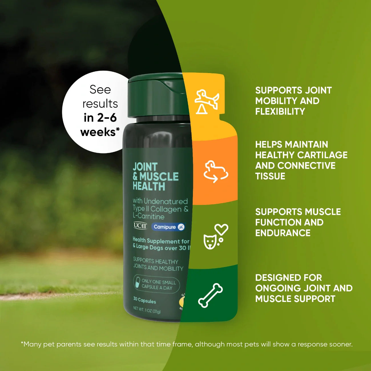 Rooted Owl Joint & Muscle Health Capsules for Medium & Large Dogs